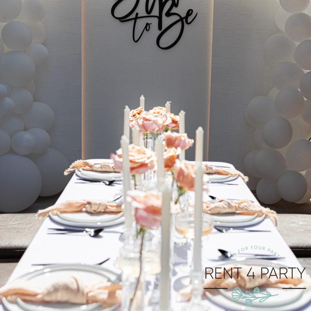 Flat white plates rental Sacramento CA | Rent4.Party