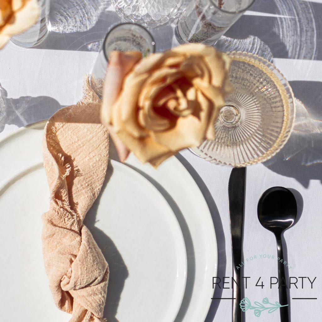 Flat white plates rental Sacramento CA | Rent4.Party