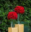 An elegant vase rental Sacramento CA | Rent4.Party